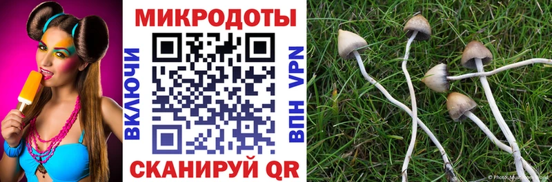 Псилоцибиновые грибы ЛСД  MEGA ССЫЛКА  Баксан 