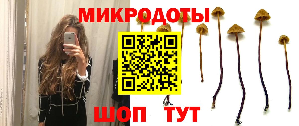 Галлюциногенные грибы Psilocybe Баксан