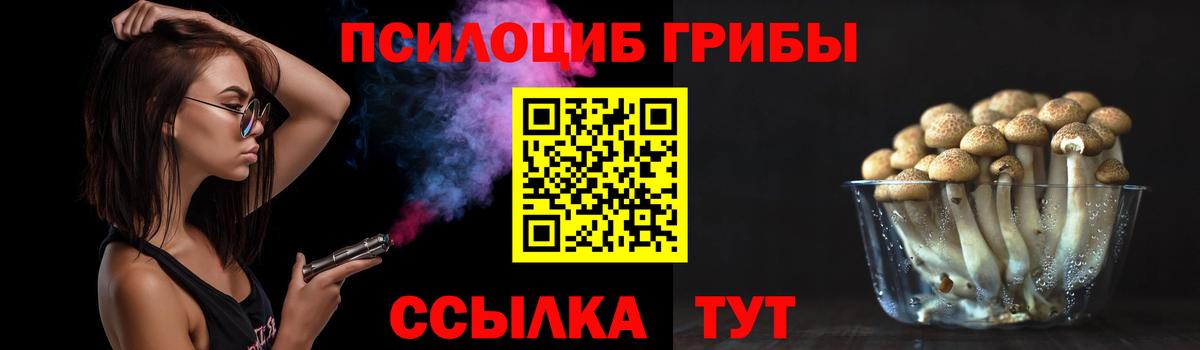 Баксан  Псилоцибиновые грибы Cubensis  даркнет сайт  Вход с VPN 